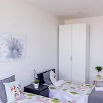 Hostel Rooms, View Of