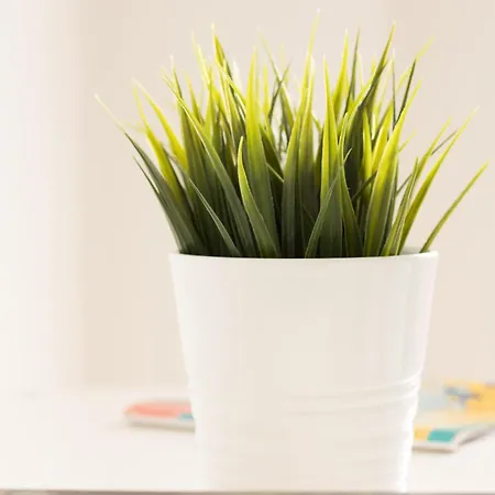 Albergue Rooms, View Of