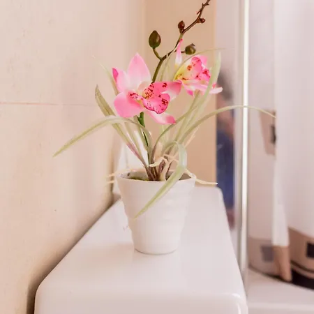 Rooms, View Of Albergue Lisboa
